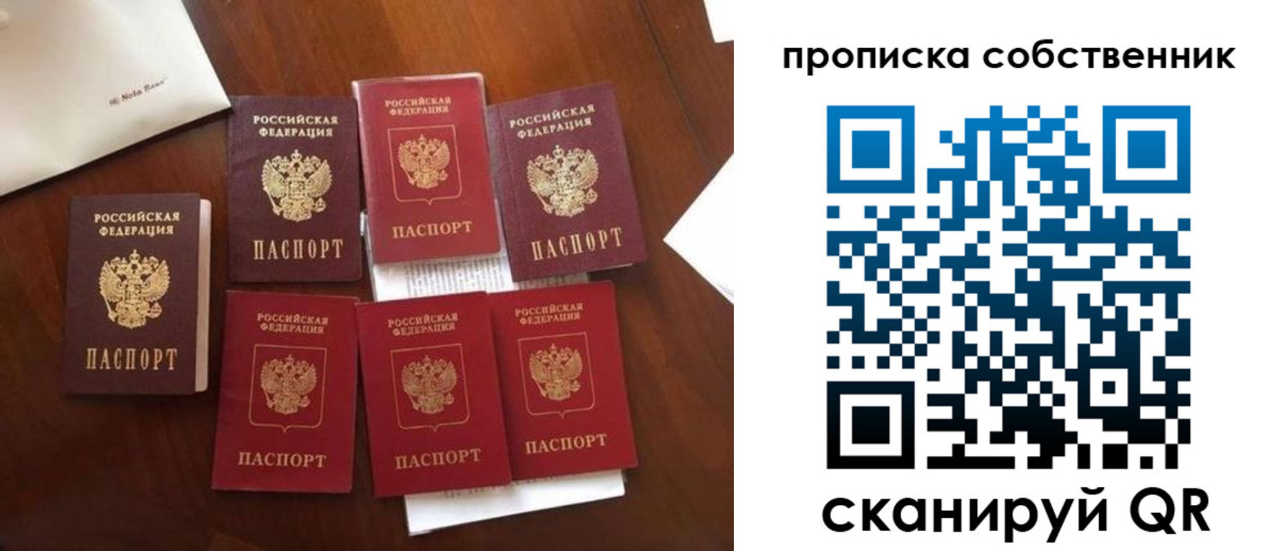 прописка для школы в Заречном